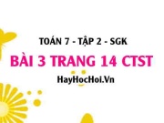 Bài 3 trang 14 Toán 7 Tập 2 Chân trời sáng tạo